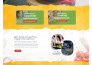 design, and create a wordpress website using elementor page builder